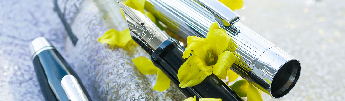 Międzynarodowa wyprawa piórowa: Ameryka